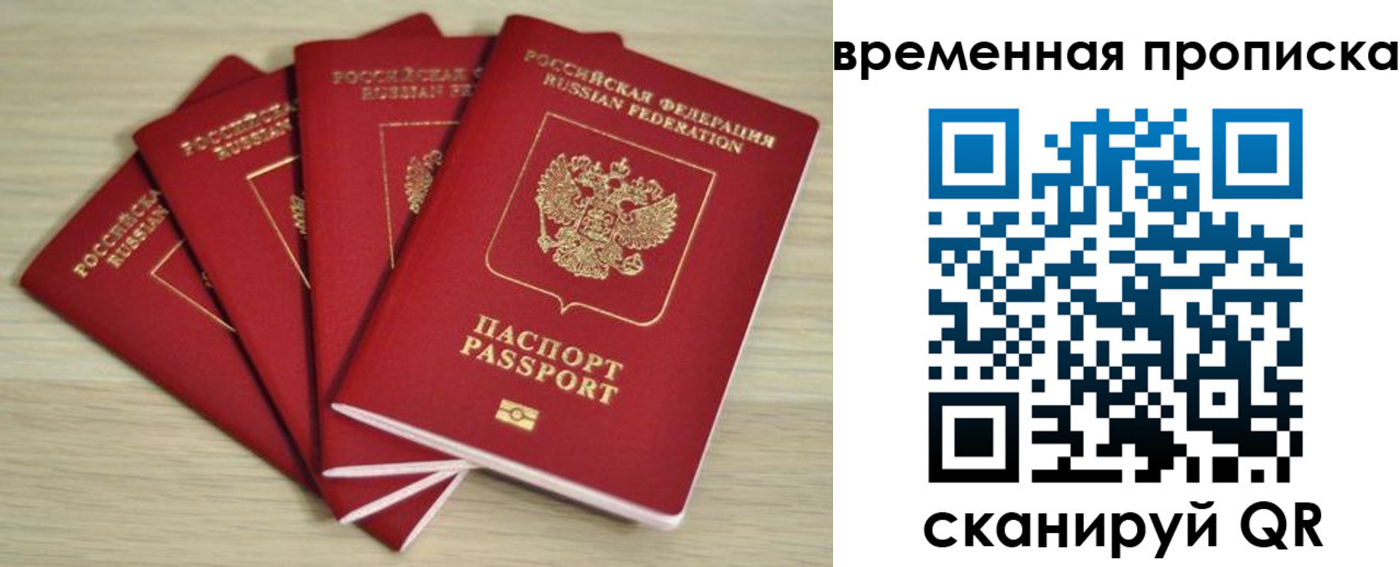 прописка для школы в Кургане